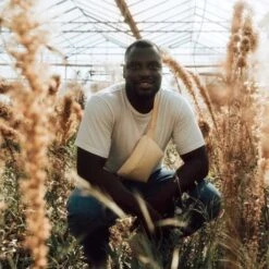 GOT BAG Hip Bag Heuptas Starfish -Mode Tassenwinkel image 1 1 5