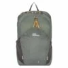 Jack Wolfskin Moab Jam 16 Liter Rugzak Gecko Green