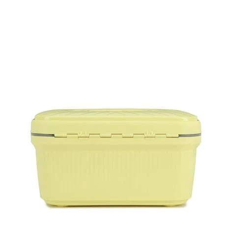 Decent Axiss-Fix Beautycase Pastel Yellow 2 Decent Axiss-Fix Beautycase Pastel Yellow - Afbeelding 2